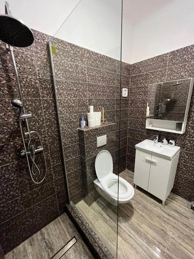 Central Studio Μπρασόβ Εξωτερικό φωτογραφία