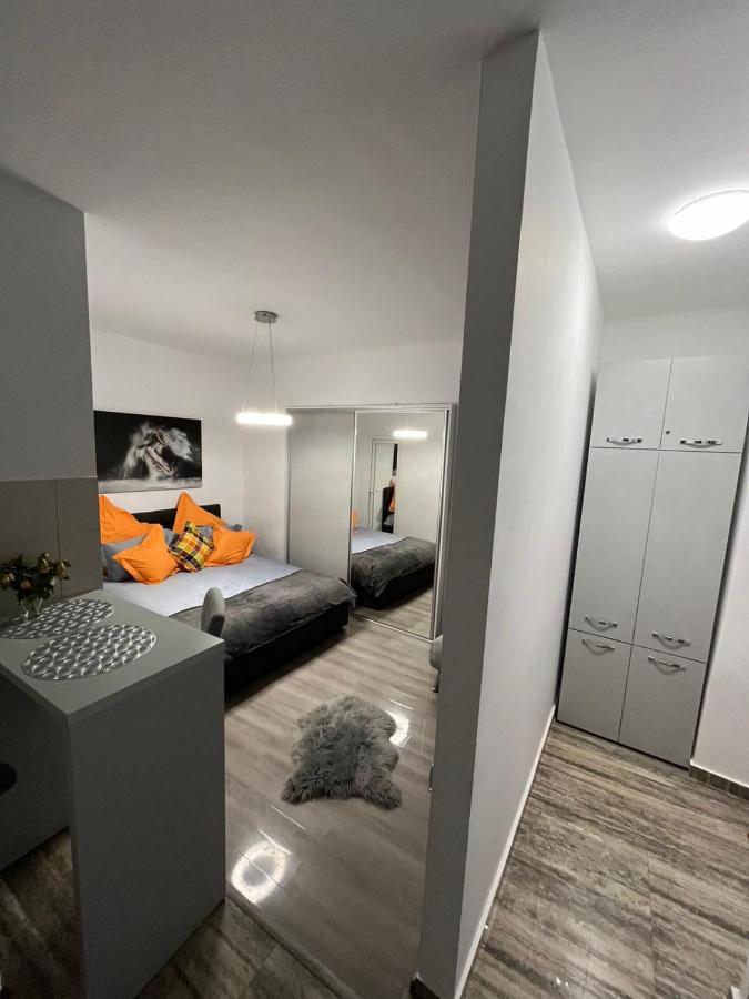 Central Studio Μπρασόβ Εξωτερικό φωτογραφία